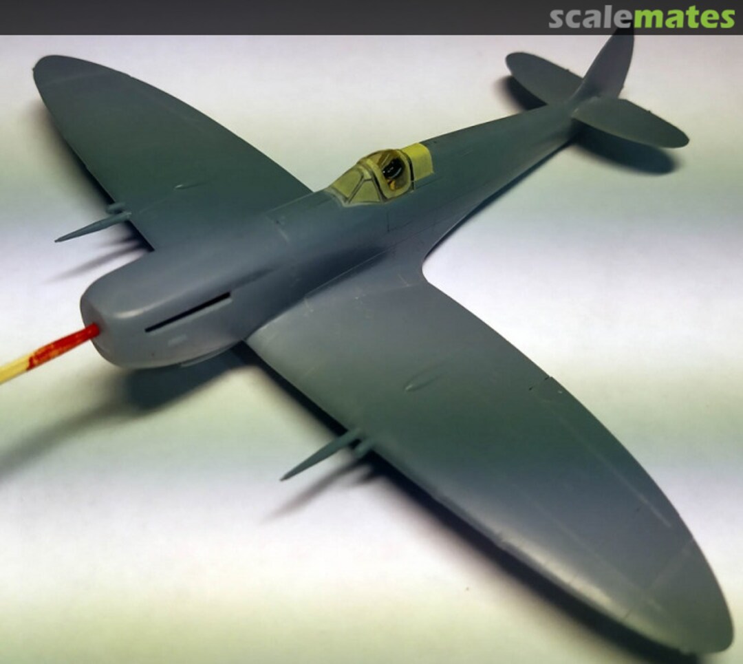 View album, image #1 View album, image #1