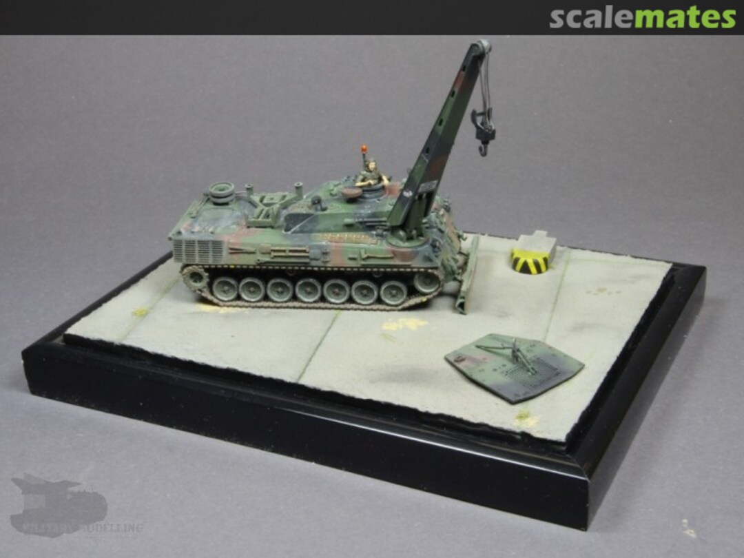 View album, image #1 View album, image #1