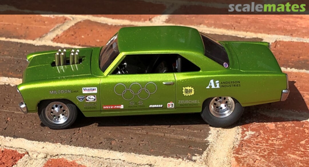 View album, image #1 View album, image #1