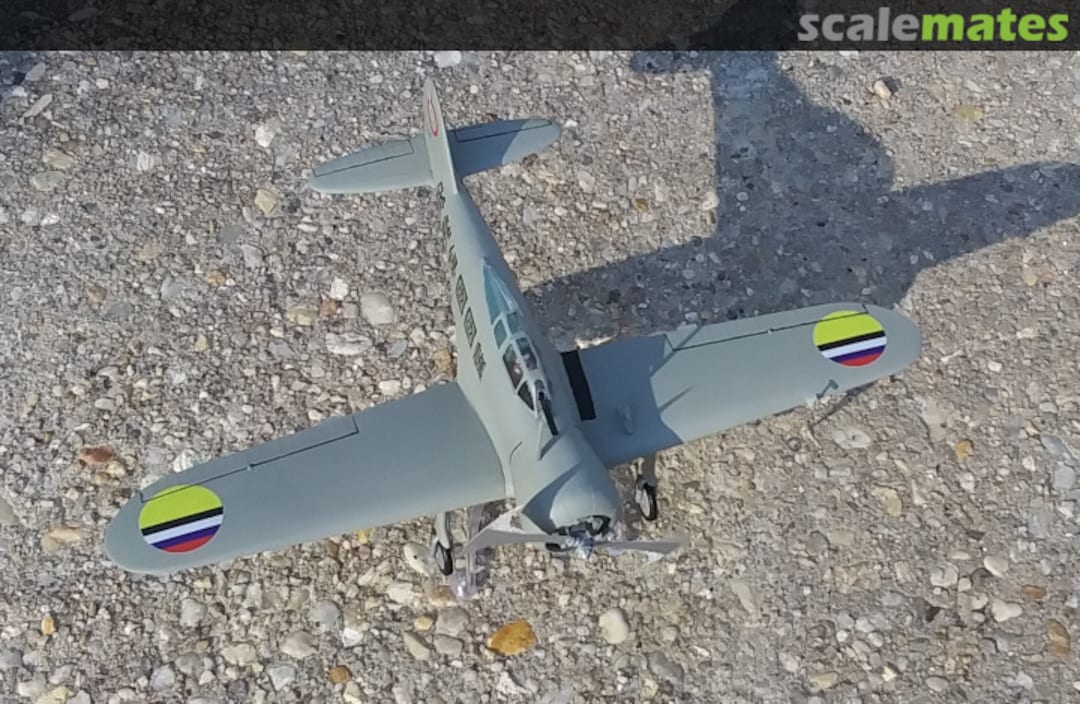 View album, image #1