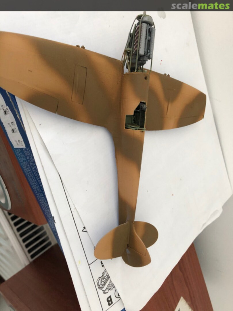 View album, image #1