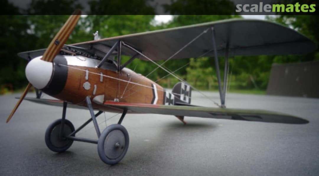 View album, image #1 View album, image #1