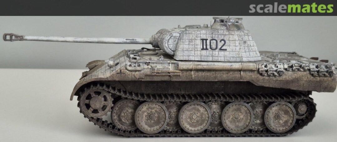 View album, image #1