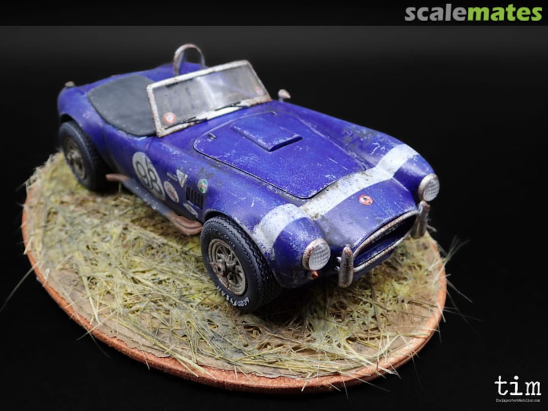 View album, image #1 View album, image #1