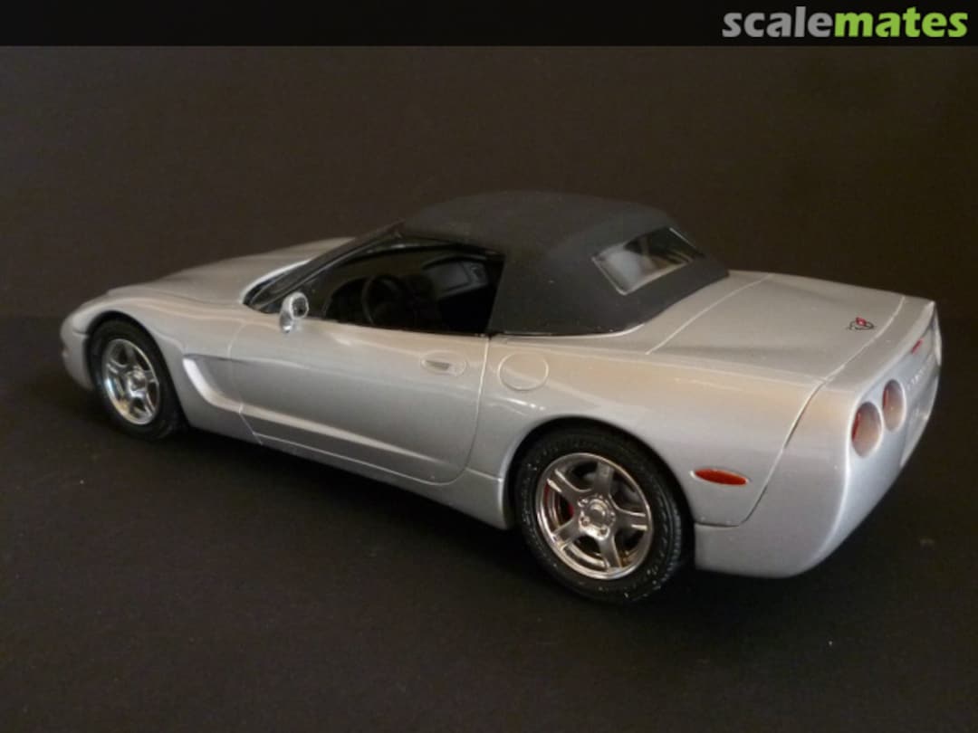 View album, image #8 View album, image #8