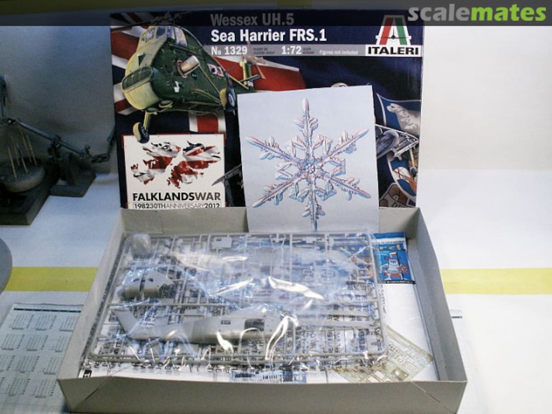 View album, image #1 View album, image #1