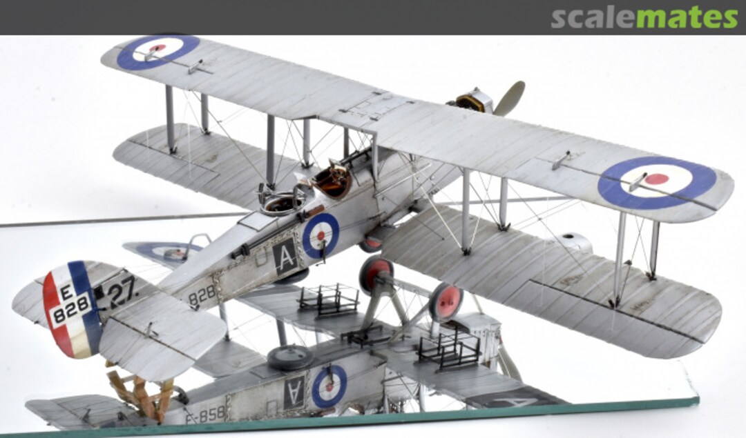 View album, image #1 View album, image #1