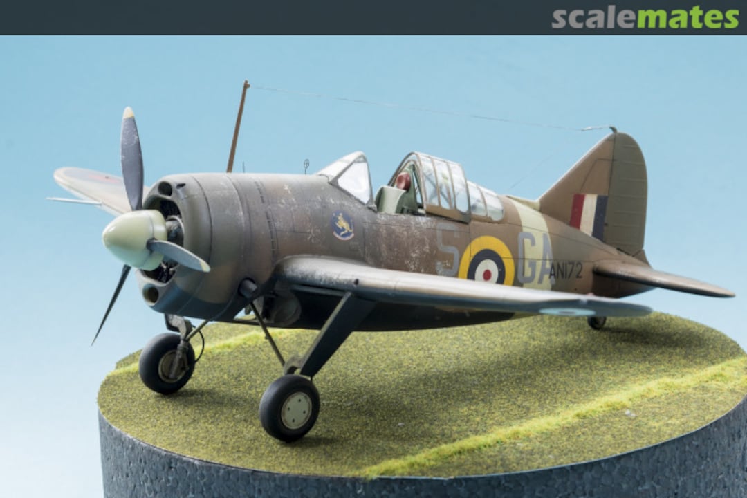 View album, image #3 View album, image #3