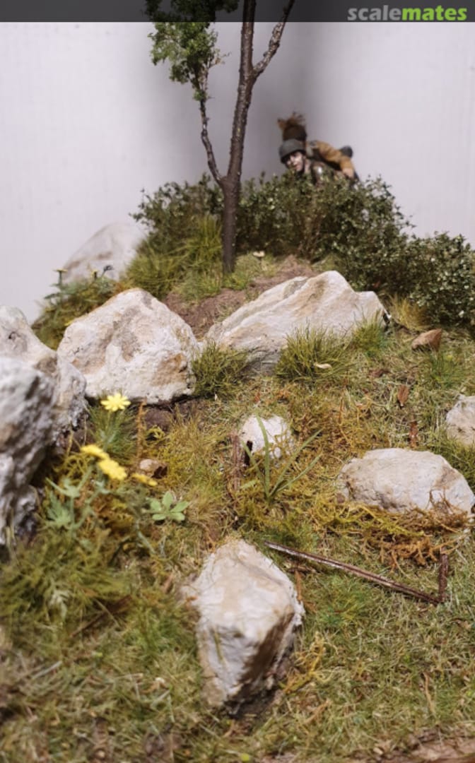 View album, image #1 View album, image #1