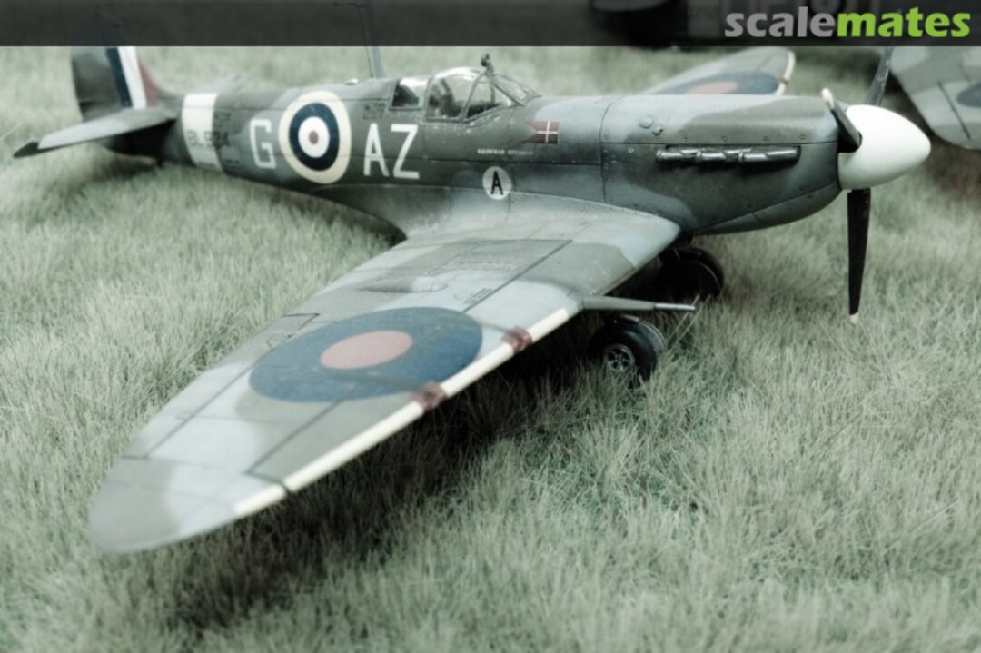 View album, image #36 View album, image #36