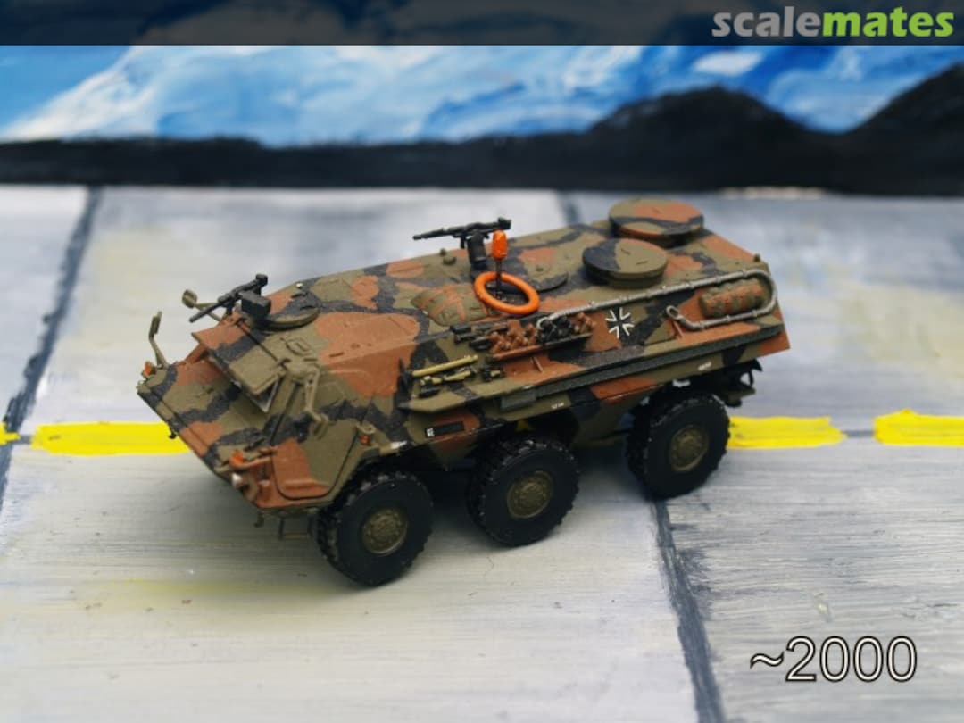 View album, image #1 View album, image #1