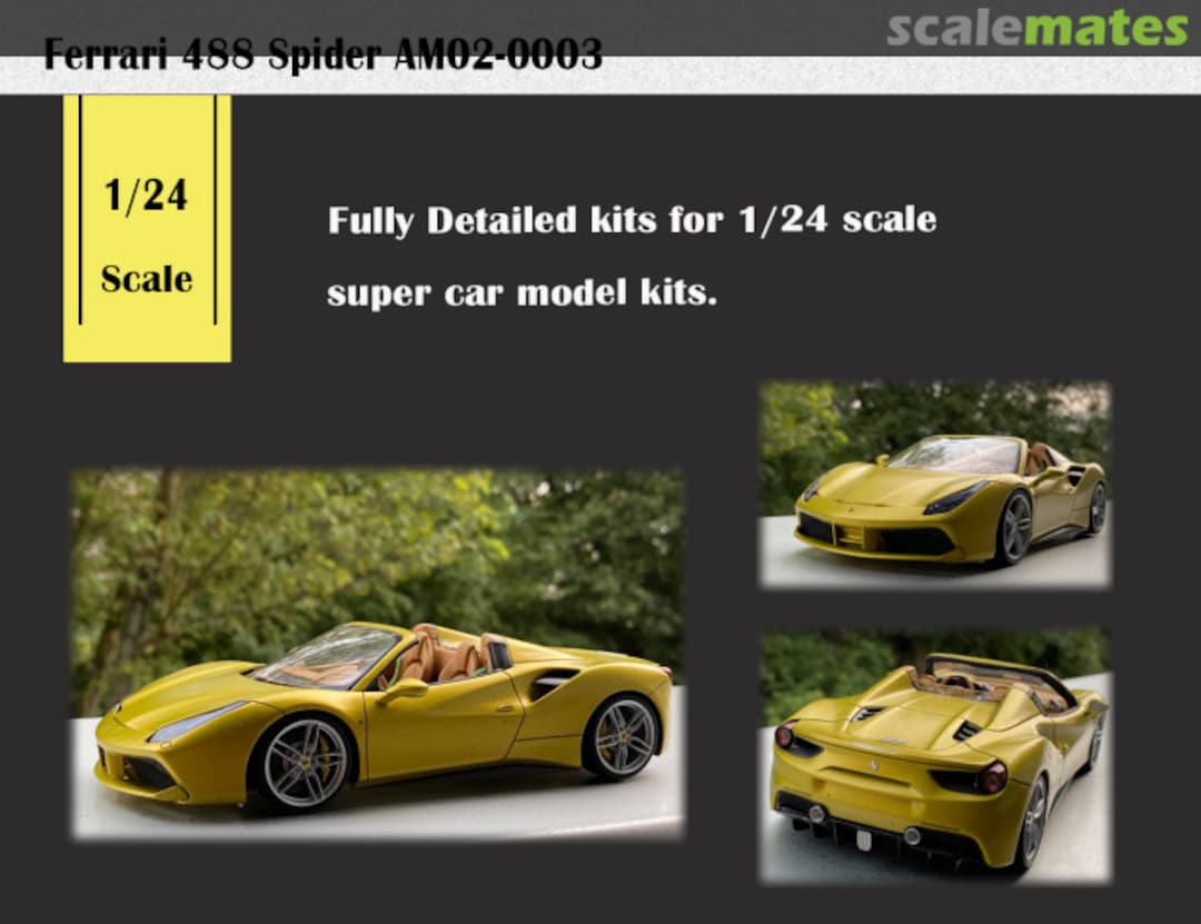 View album, image #1 View album, image #1