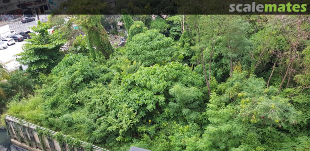 View album, image #1