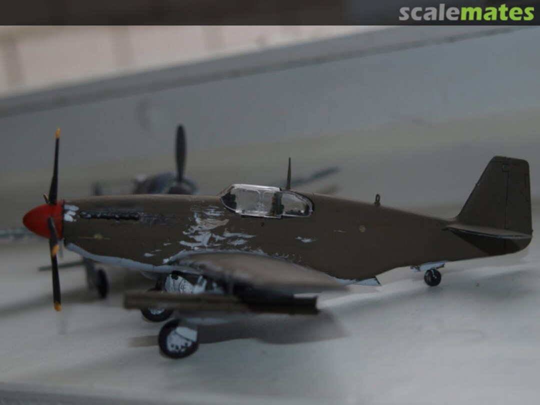 View album, image #1