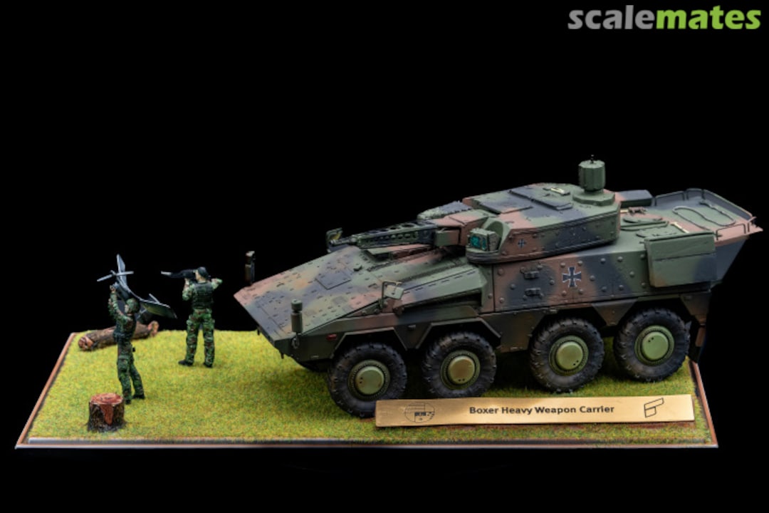 View album, image #1 View album, image #1