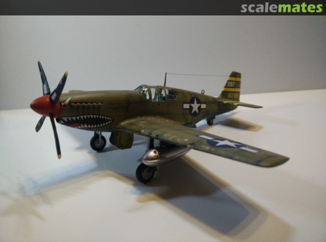 View album, image #6 View album, image #6