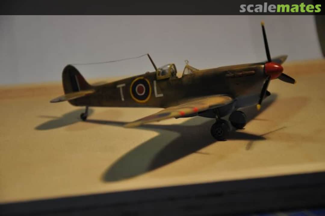 View album, image #1