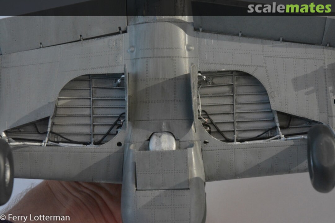 View album, image #1