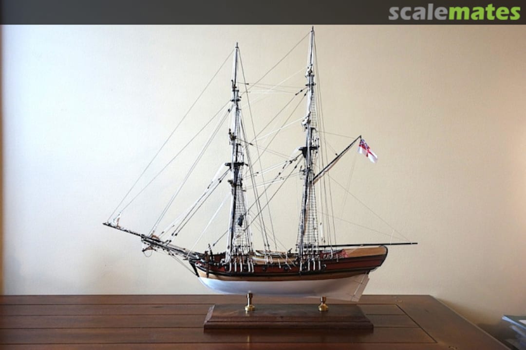 View album, image #46 View album, image #46