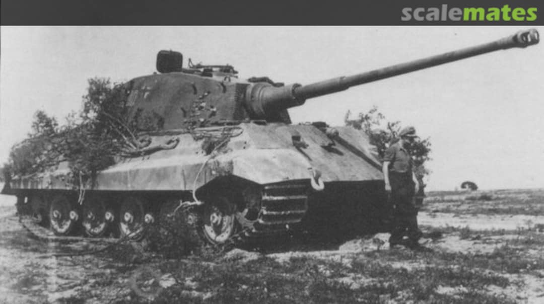 View album, image #1 View album, image #1