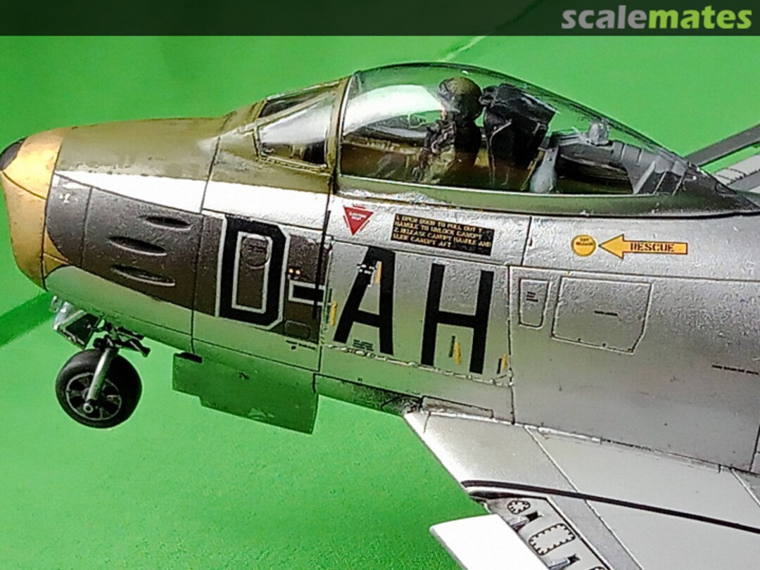 View album, image #14 View album, image #14