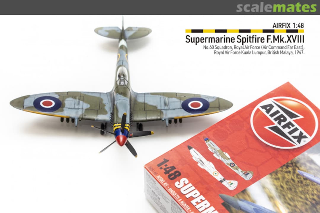 View album, image #1