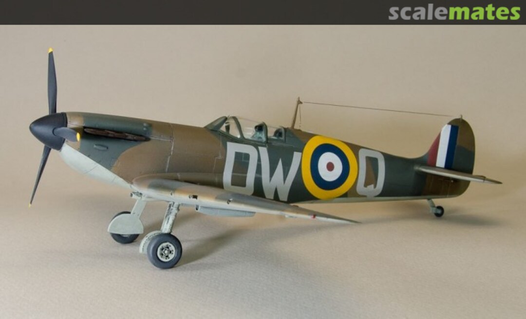 View album, image #1 View album, image #1