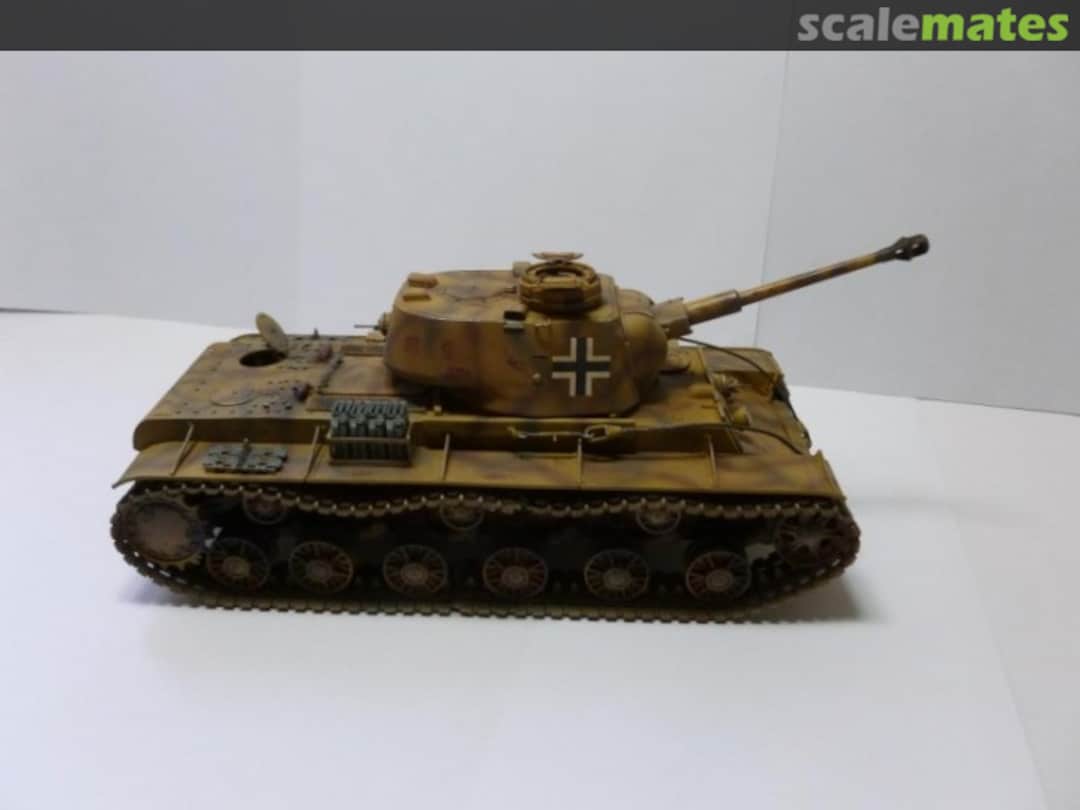 View album, image #1 View album, image #1