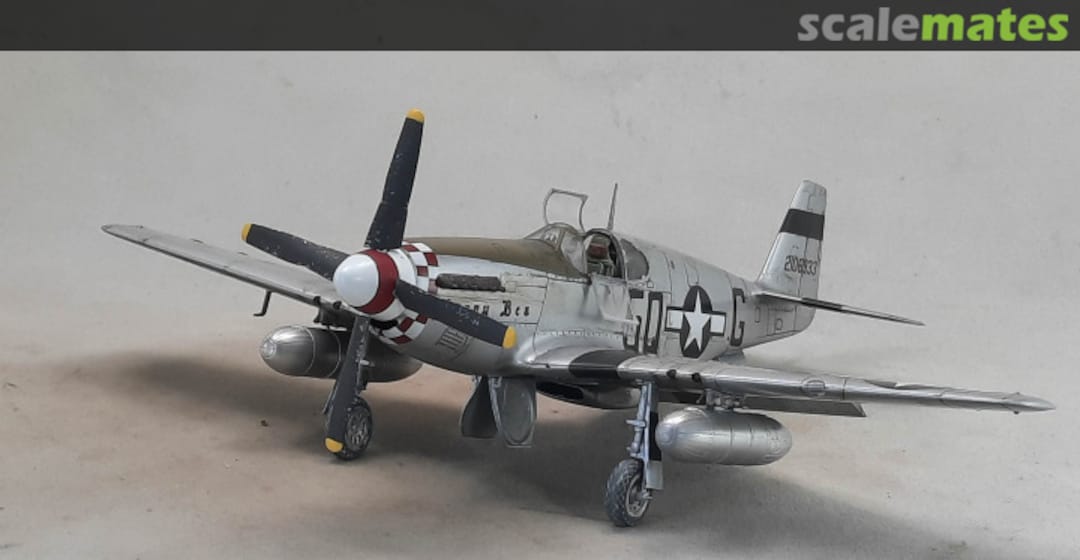 View album, image #3 View album, image #3