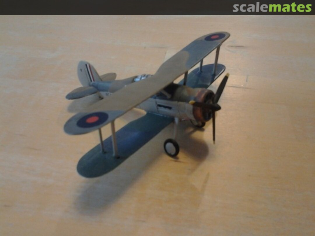 View album, image #1 View album, image #1