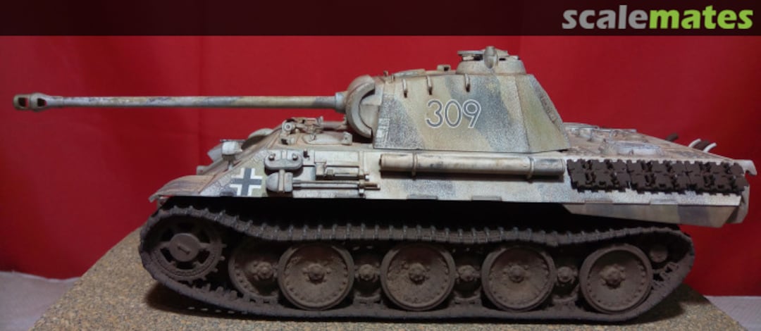 View album, image #1 View album, image #1