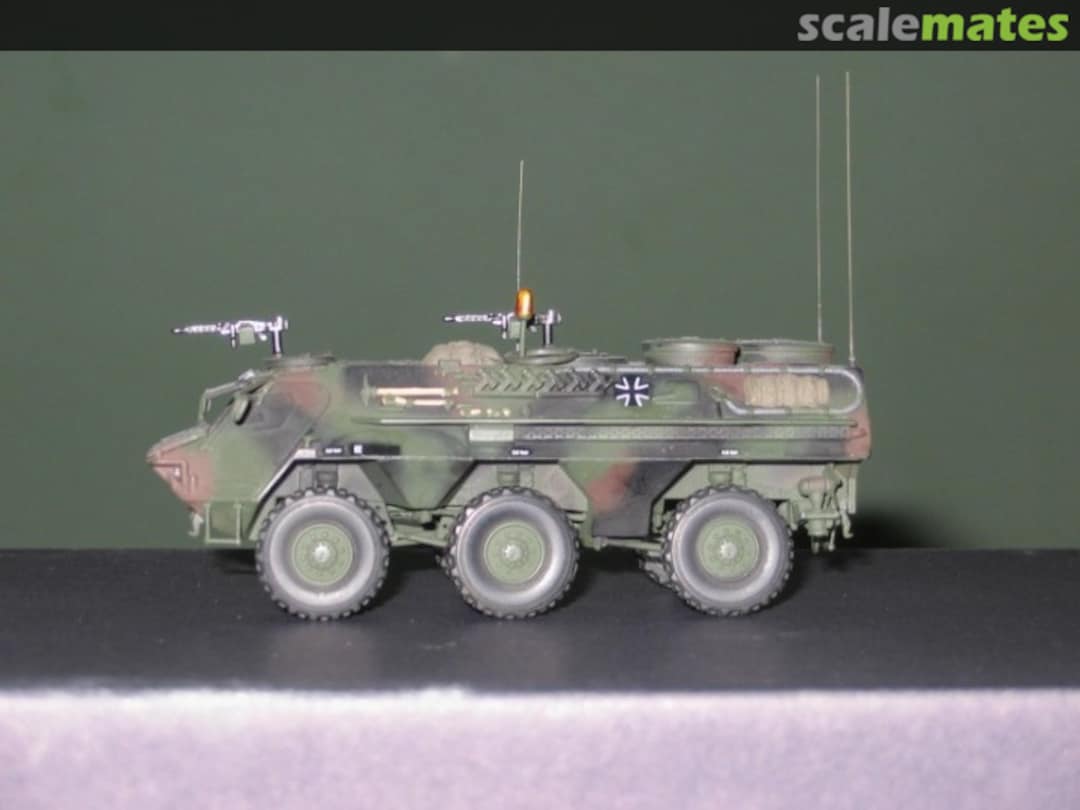 View album, image #1 View album, image #1