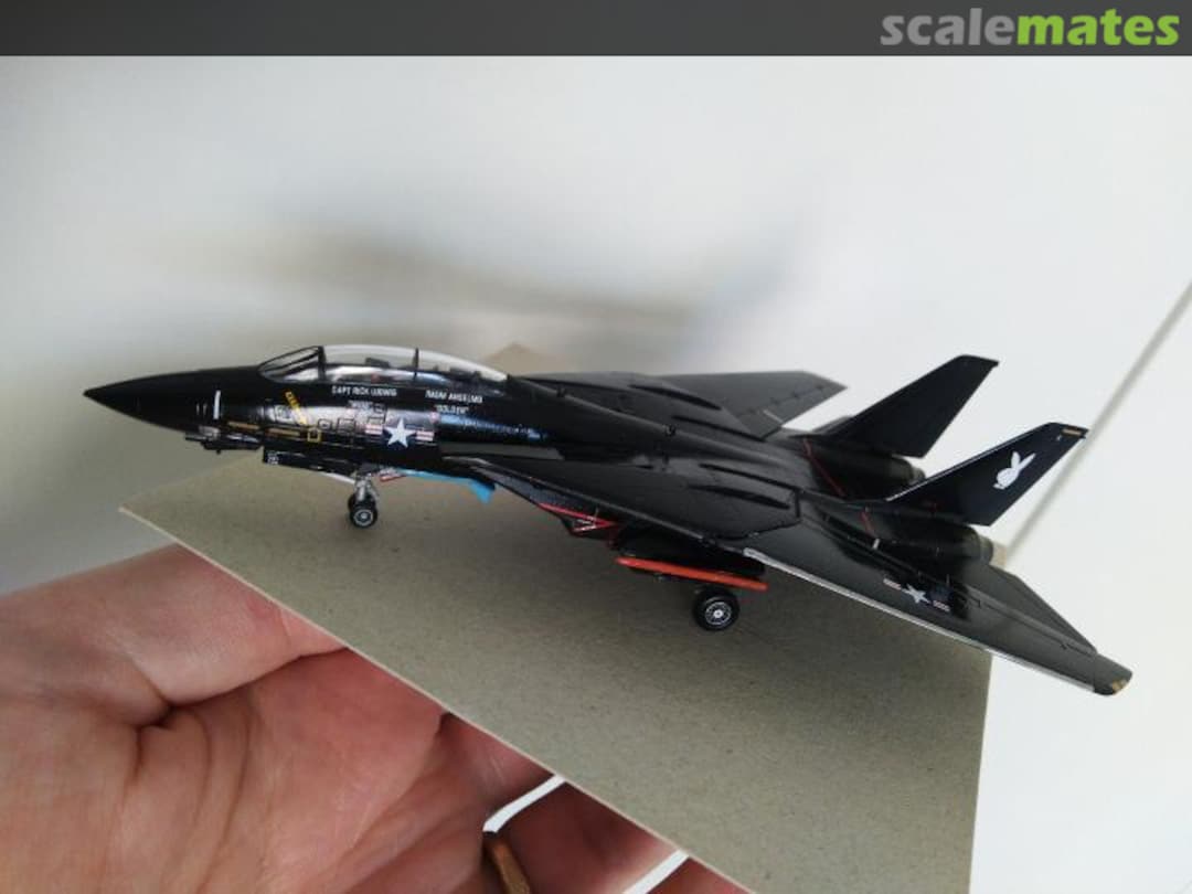 View album, image #1 View album, image #1