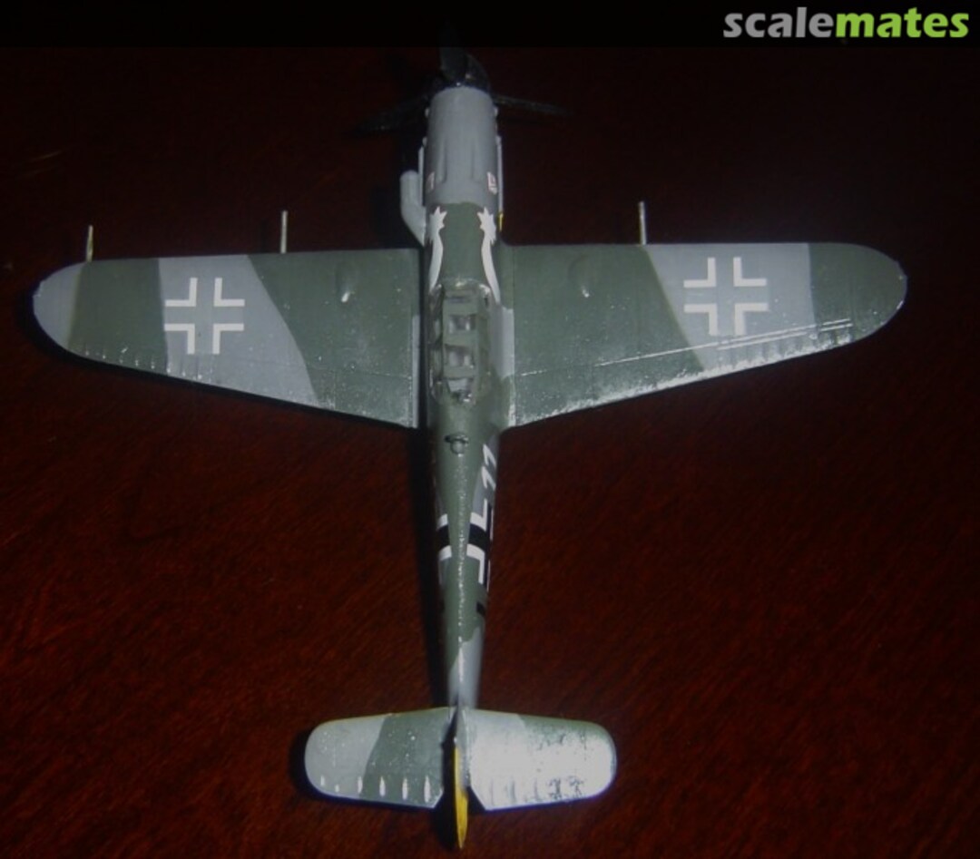 View album, image #1 View album, image #1