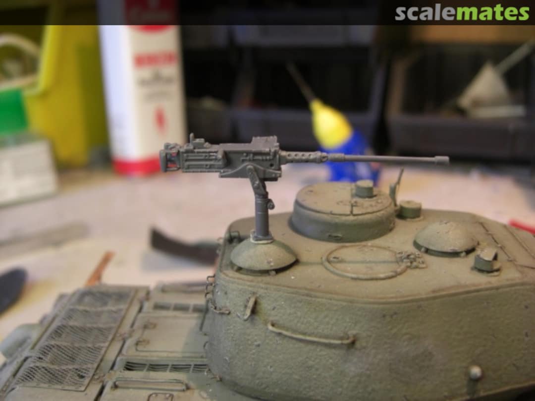 View album, image #7 View album, image #7