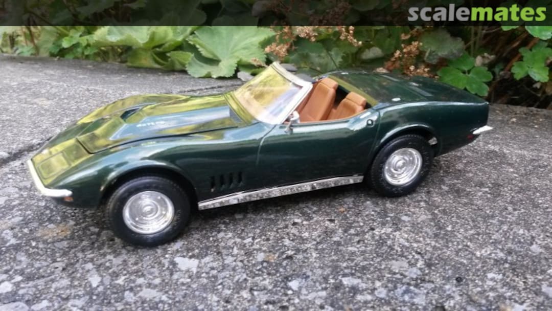 View album, image #1 View album, image #1