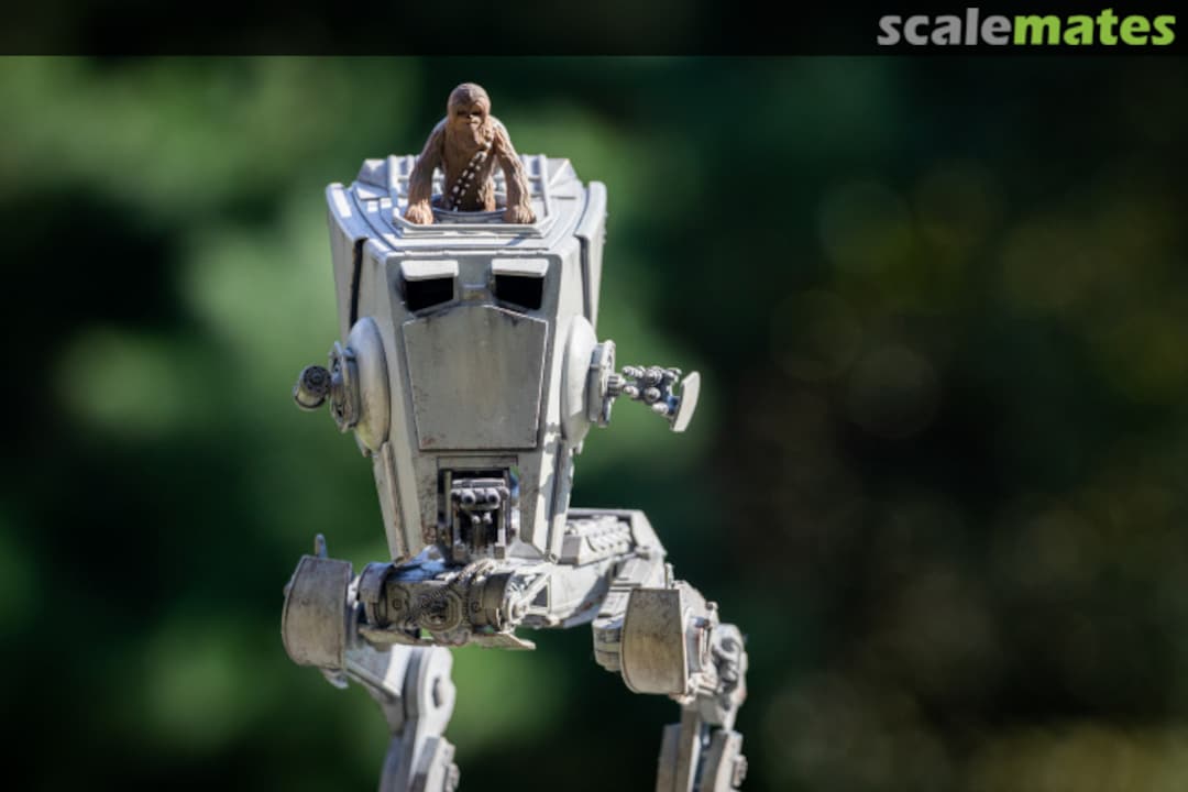 View album, image #33