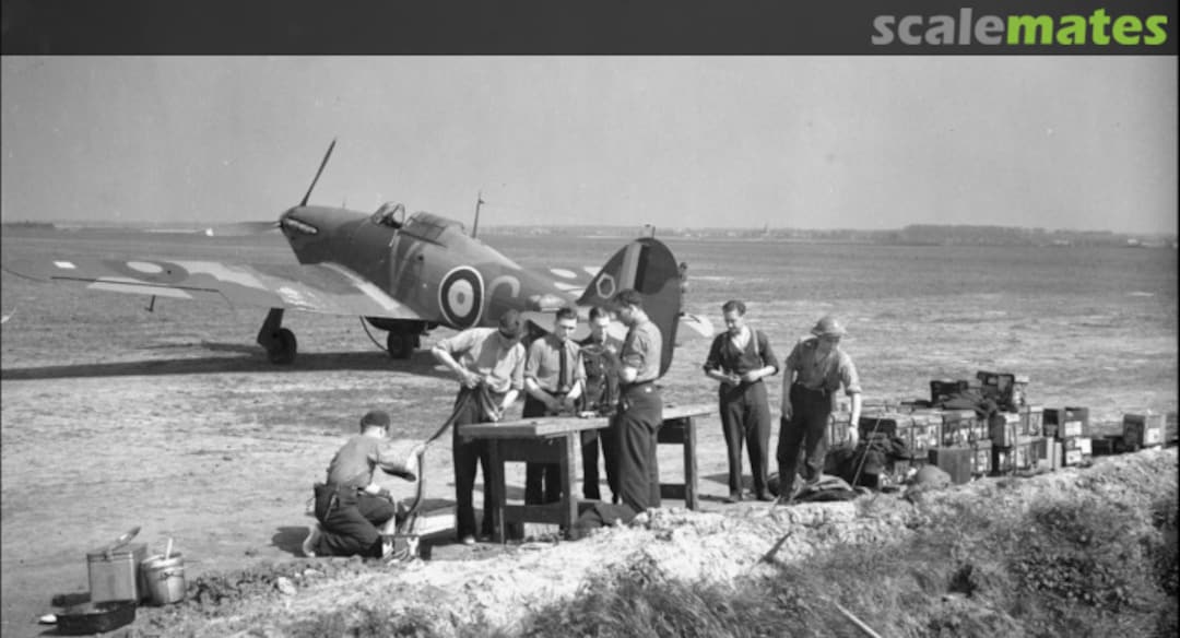 View album, image #1