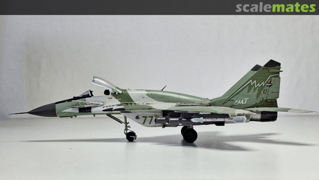 View album, image #5