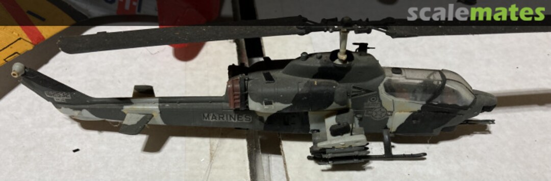 View album, image #1 View album, image #1