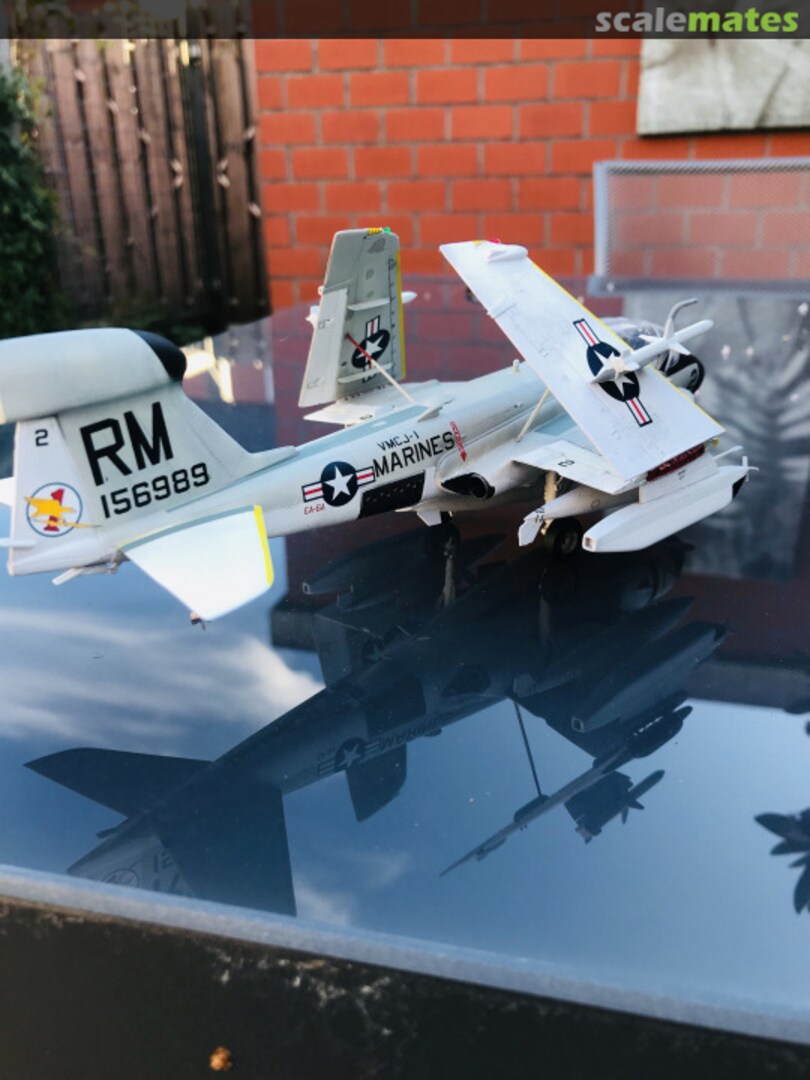 View album, image #1 View album, image #1