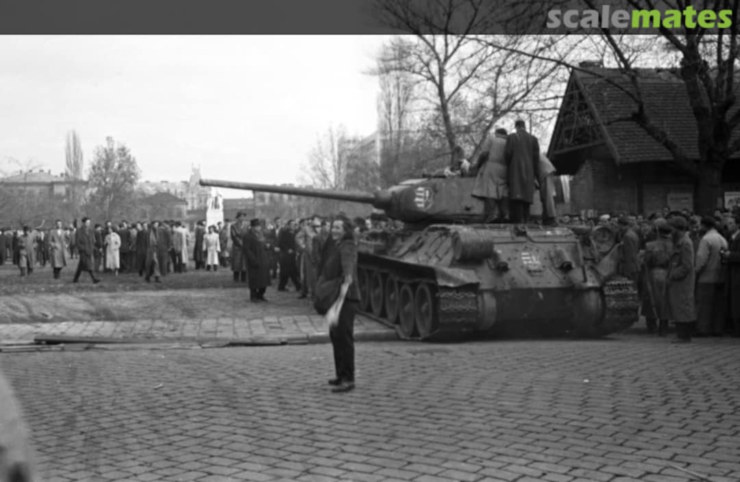 View album, image #3 View album, image #3