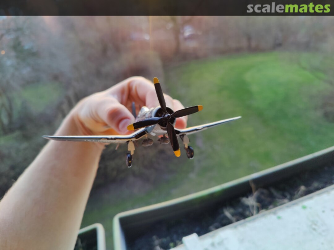 View album, image #1