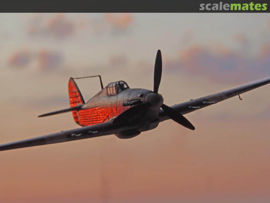 View album, image #1 View album, image #1