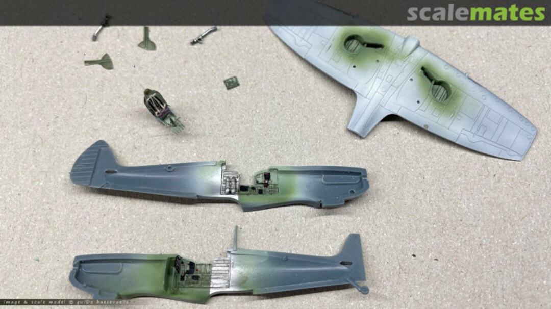 View album, image #8