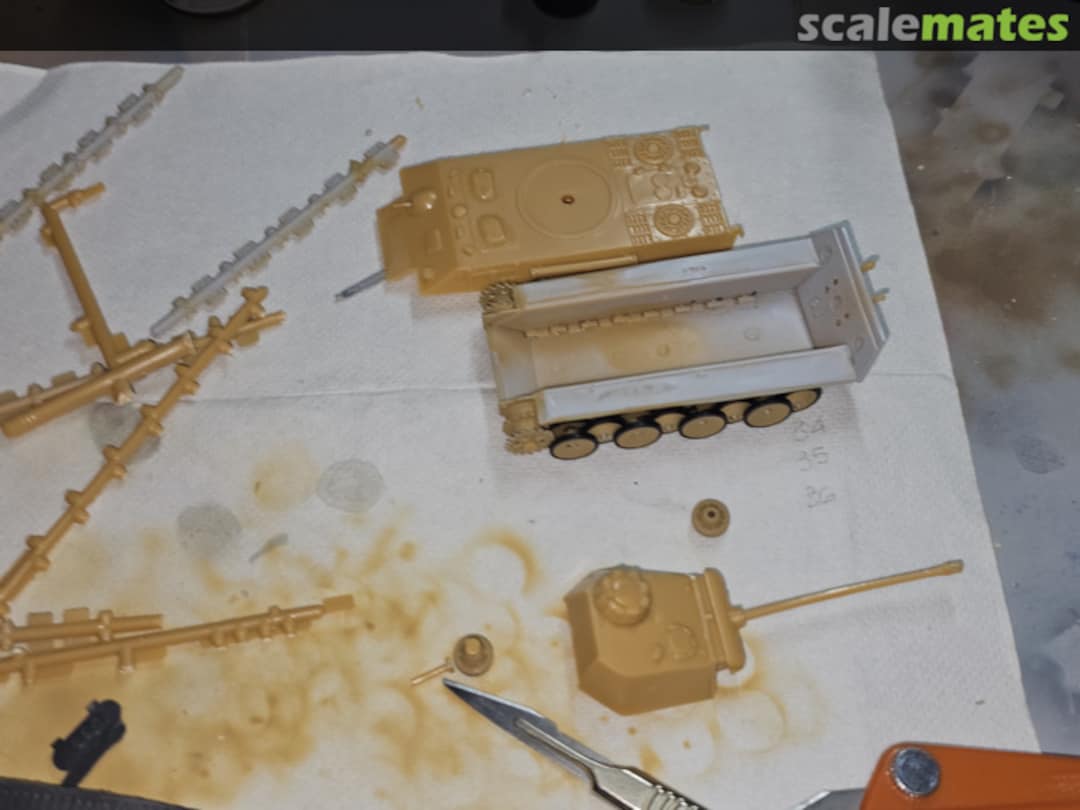 View album, image #1 View album, image #1