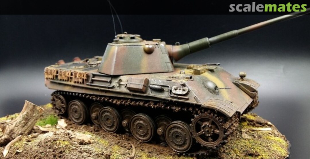 View album, image #1