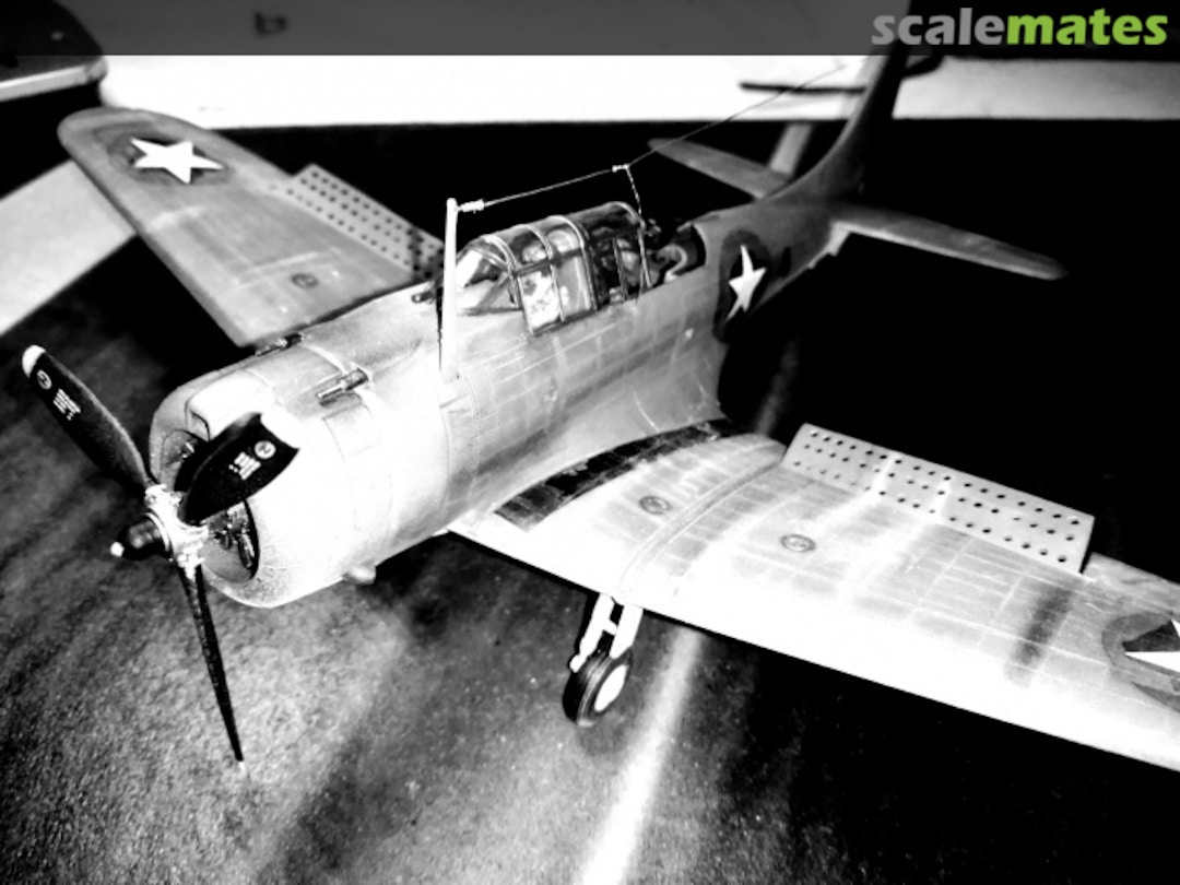 View album, image #8 View album, image #8