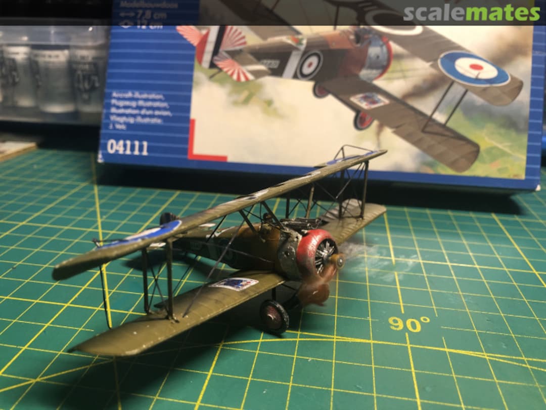 View album, image #13