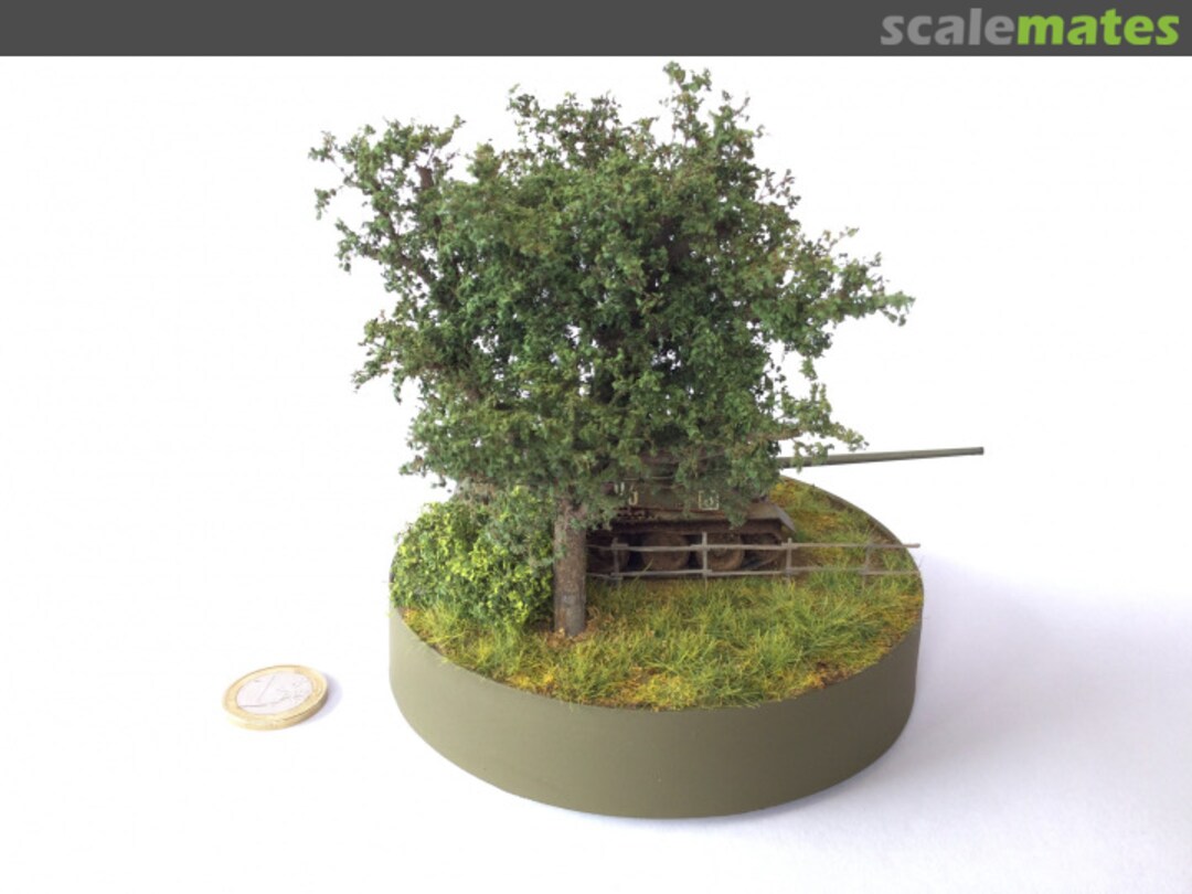 View album, image #1